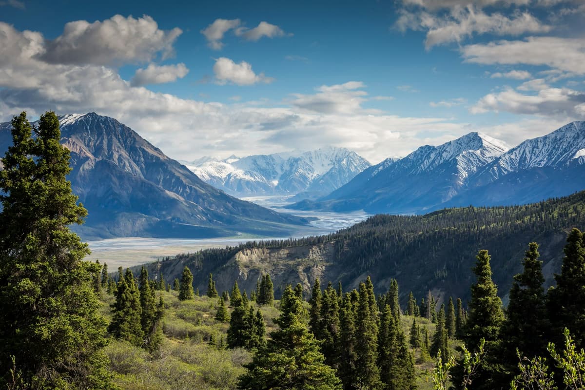 Wyoming Mountains - Business Formation